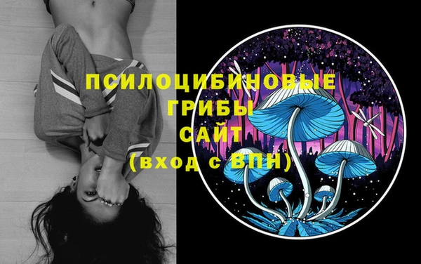 соль курить ск Аркадак