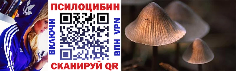 Галлюциногенные грибы MAGIC MUSHROOMS  Купить где  Суджа 